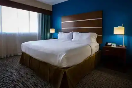Holiday Inn Houston Downtown, An Ihg - 54