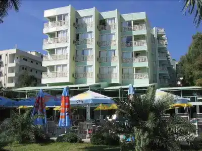 Flamingo - 11