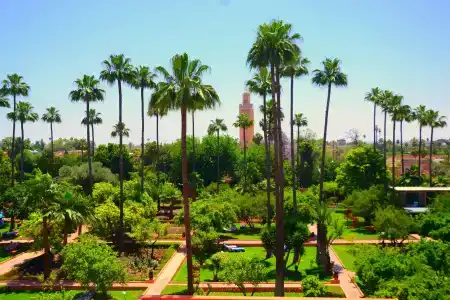 Medina Gardens - Adults Only - All Inclusive - 27