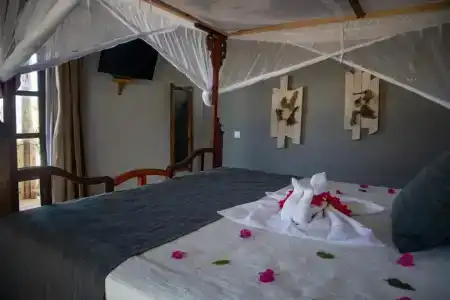 Nest Style Beach Zanzibar - 47