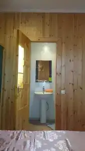 Оганин - 1