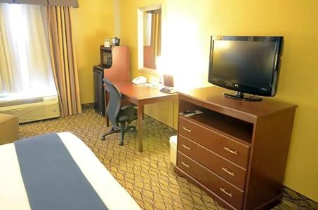 Holiday Inn Express & Suites Houston-Downtown Convention Center, An Ihg - 54