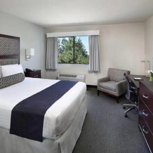 Maple Tree Inn - 25