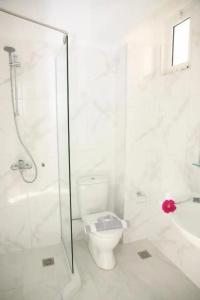 Apollon - 170