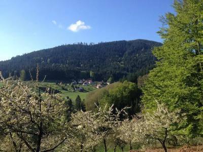 Höhen& Restaurant Kalikutt - 14