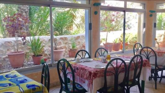 Djerba Orient - 46