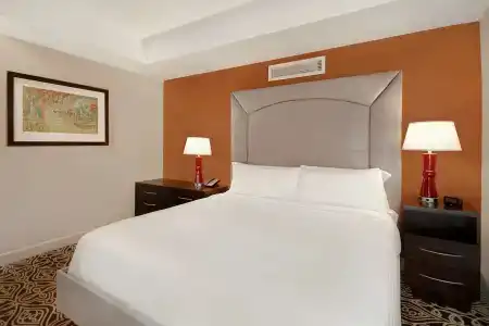 The Sam Houston, Curio Collection by Hilton - 6