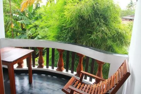 Orchid Rest - 6