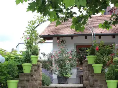 Gasthof Adler - 10