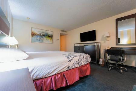 Royal Plaza Inn - 113