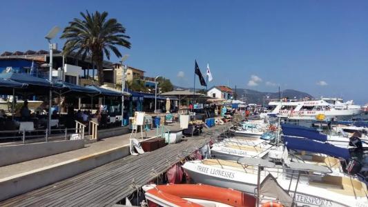 The Summer House - 14