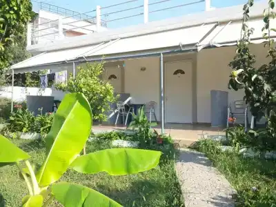 Yard Paradise - 27