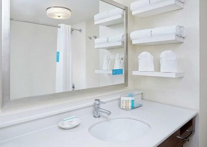 Hampton Inn Dallas-Irving-Las Colinas - 8