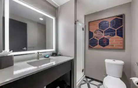 Vib Best Western Denver Rino - 32