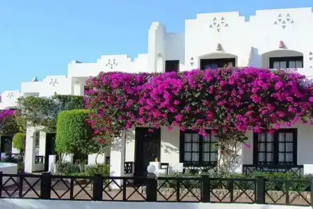 Verginia Sharm Resort & Aqua Park - 0