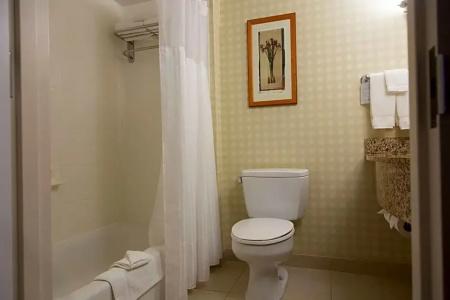 Hilton Garden Inn/Coastal Grand Mall - 65