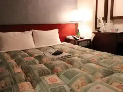 Tokyo Inn - 101
