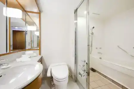 Sheraton Grande Tokyo Bay - 11