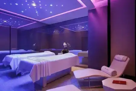 Excelsior Gallia, a Luxury Collection, Milan - 24