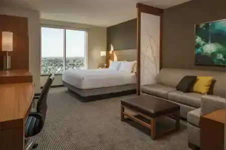 Hyatt Place Houston Galleria - 25