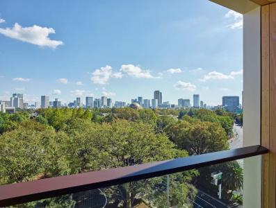 Mitsui Garden Jingugaien Tokyo Premier - 32