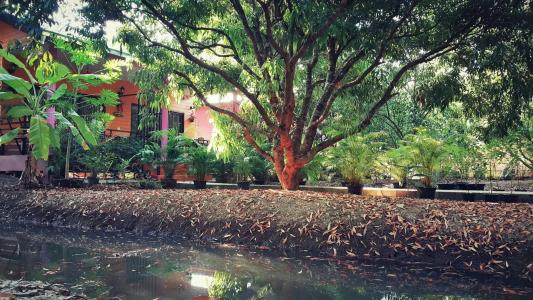 Warakorn Baansuan - 10