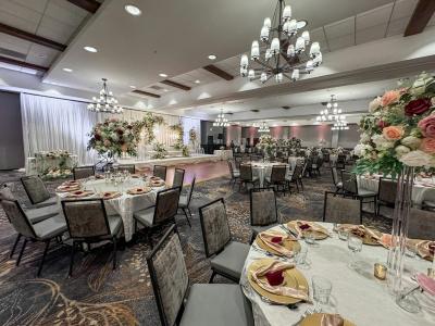 Hilton Arden West - 37
