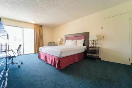 Royal Plaza Inn - 101