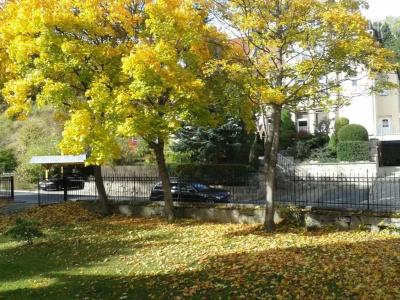 Pension Haus Marga - 11