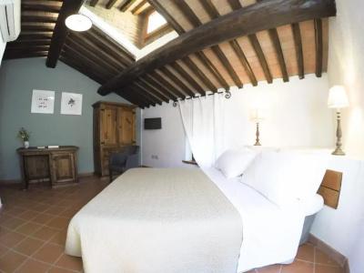 Agriturismo Boschi di Montecalvi - 49