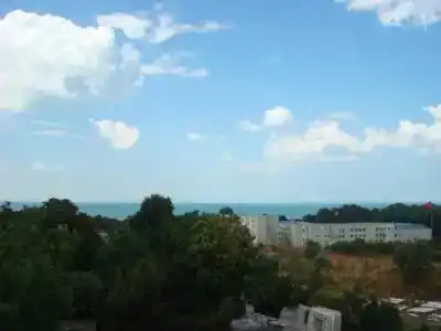 Florya Konagi - 11