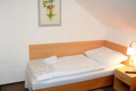 Wellness Vila Bohemia - 22