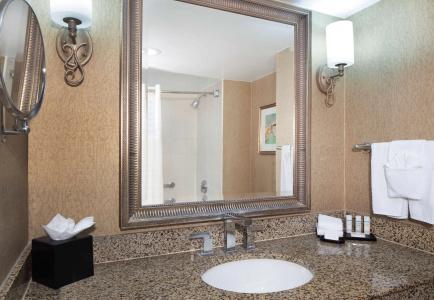 Embassy Suites by Hilton Dallas Near the Galleria - 9