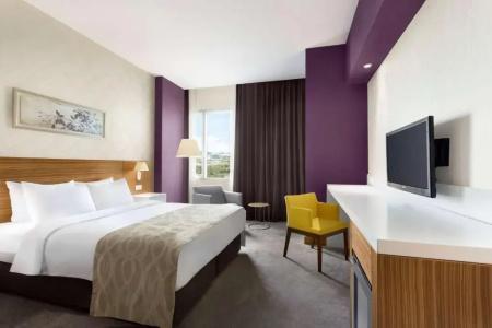 Ramada Plaza by Wyndham Istanbul Asia Airport - 29