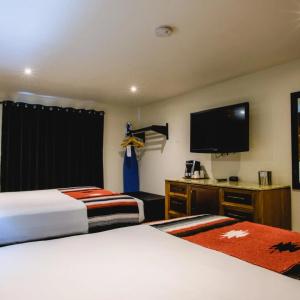 Coyote South - 41