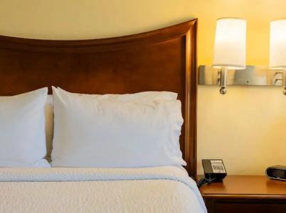 Holiday Inn Express & Suites Tucson Mall, An Ihg - 41