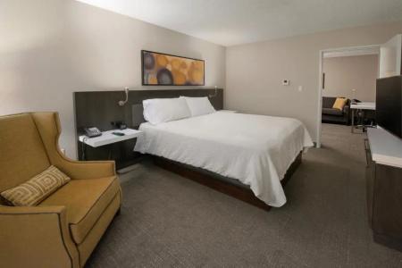 Hilton Garden Inn Las Colinas - 61