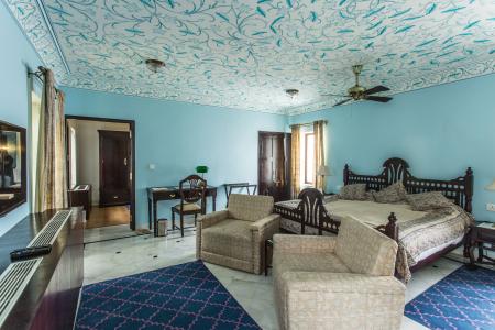 Royal Heritage Haveli - 125