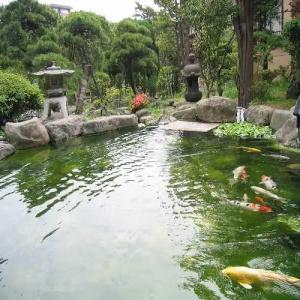 Ryokan Ichinomatsu - 22