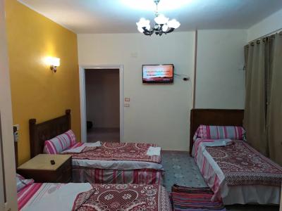 Cairo Moon Hostel - 28