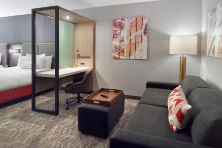 SpringHill Suites by Marriott Atlanta Northwest - 36