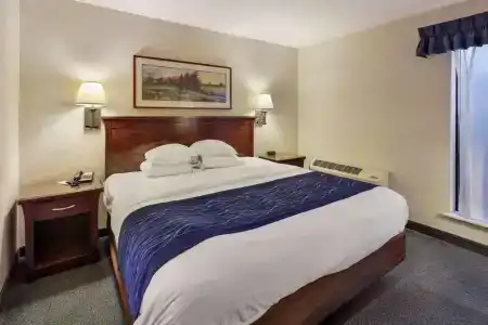 Comfort Inn - 43