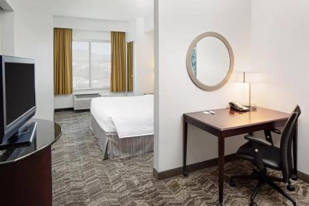 SpringHill Suites by Marriott - 34
