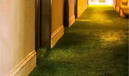 Restaurant Vous lé Vous - 14