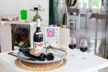 Nova Sintra - 3