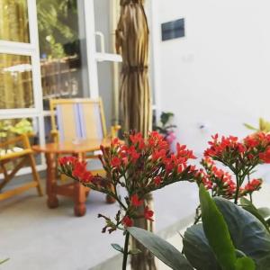 Palm Garden - 54