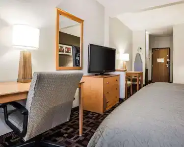 Quality Inn & Suites Airport - 63