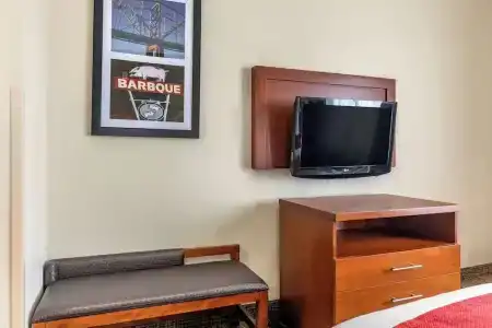 Comfort Suites West I-20 - 45