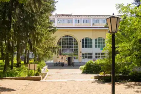 Зеленая роща - 34