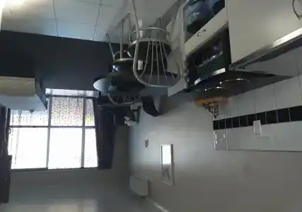 Albatross - 11